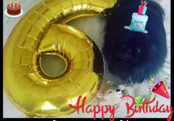 Прикрепленное изображение: IMG_20250220_205707.jpg